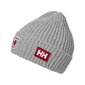 Gorra Beanie Helly Hansen Gorra Beanie Helly Hansen