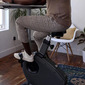 Bicicleta Estática Para Escritorio Lifespan Fitness C3-dt3 - Antracita - Producto De Lifespan Fitness 