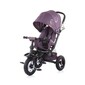 Triciclo Evolutivo Con Ruedas De Goma Hinchables Bolide Dhalia De Chipolino Triciclo Evolutivo Con Ruedas De Goma Hinchables Bolide Dhalia De Chipolino