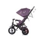 Triciclo Evolutivo Con Ruedas De Goma Hinchables Bolide Dhalia De Chipolino Triciclo Evolutivo Con Ruedas De Goma Hinchables Bolide Dhalia De Chipolino