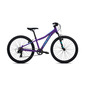 Bicicleta Mtb Coluer Diva 241 - Púrpura - Infantil Bicicleta Mtb Coluer Diva 241 - Púrpura - Infantil
