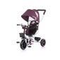 Triciclo Evolutivo Jetro Dhalia De Chipolino Con Asiento Giratorio 360º Triciclo Evolutivo Jetro Dhalia De Chipolino Con Asiento Giratorio 360º