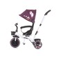 Triciclo Evolutivo Jetro Dhalia De Chipolino Con Asiento Giratorio 360º Triciclo Evolutivo Jetro Dhalia De Chipolino Con Asiento Giratorio 360º