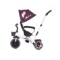 Triciclo Evolutivo Jetro Dhalia De Chipolino Con Asiento Giratorio 360º Triciclo Evolutivo Jetro Dhalia De Chipolino Con Asiento Giratorio 360º