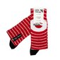 E26 Procar Socks - rojo/blanco 
