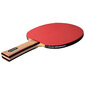 Pala Ping Pong Enebe Tifon - Multicolor Pala Ping Pong Enebe Tifon - Multicolor