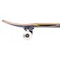 Skateboard Birdhouse Stage 1 Oversized Skull Mini 7.25" Skateboard Birdhouse Stage 1 Oversized Skull Mini 7.25"