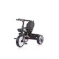 Triciclo Evolutivo Vega Mist Con Asiento Giratorio 360º De Chipolino Triciclo Evolutivo Vega Mist Con Asiento Giratorio 360º De Chipolino