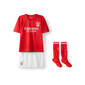 Réplica Mini Kit Principal Benfica 2021 2022 - Vermelho Réplica Mini Kit Principal Benfica 2021 2022 - Vermelho