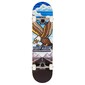 Skate Completo Tony Hawk Ss 180 Outrun 7.75" - Multicolor Skate Completo Tony Hawk Ss 180 Outrun 7.75" - Multicolor