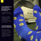 Calcetines Deportivos Happytraining Fitness Avocado - Azul Royal 