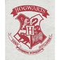 Chándal Hogwarts Crest Harry Potter - Gris/Rojo 