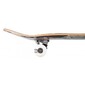Skateboard Birdhouse Stage 1 Falcon Iii 7.75" Skateboard Birdhouse Stage 1 Falcon Iii 7.75"