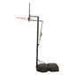 Canasta Baloncesto Ultrarresistente Lifetime Altura Regulable 244/305 Cm Uv100 - Azul Canasta Baloncesto Ultrarresistente Lifetime Altura Regulable 244/305 Cm Uv100 - Azul