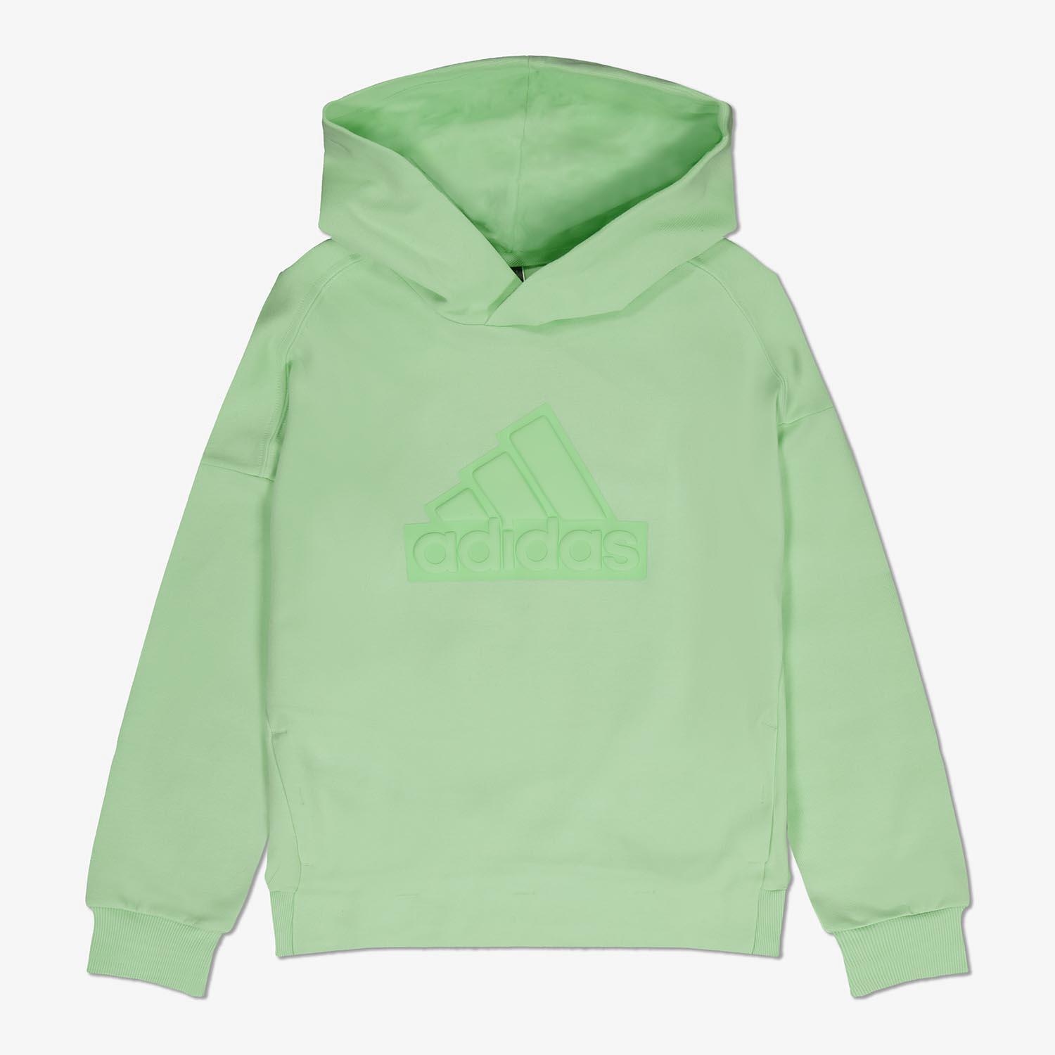 Adidas Future Icons Logo Hoodie Verde 13-14 Years Rapaz