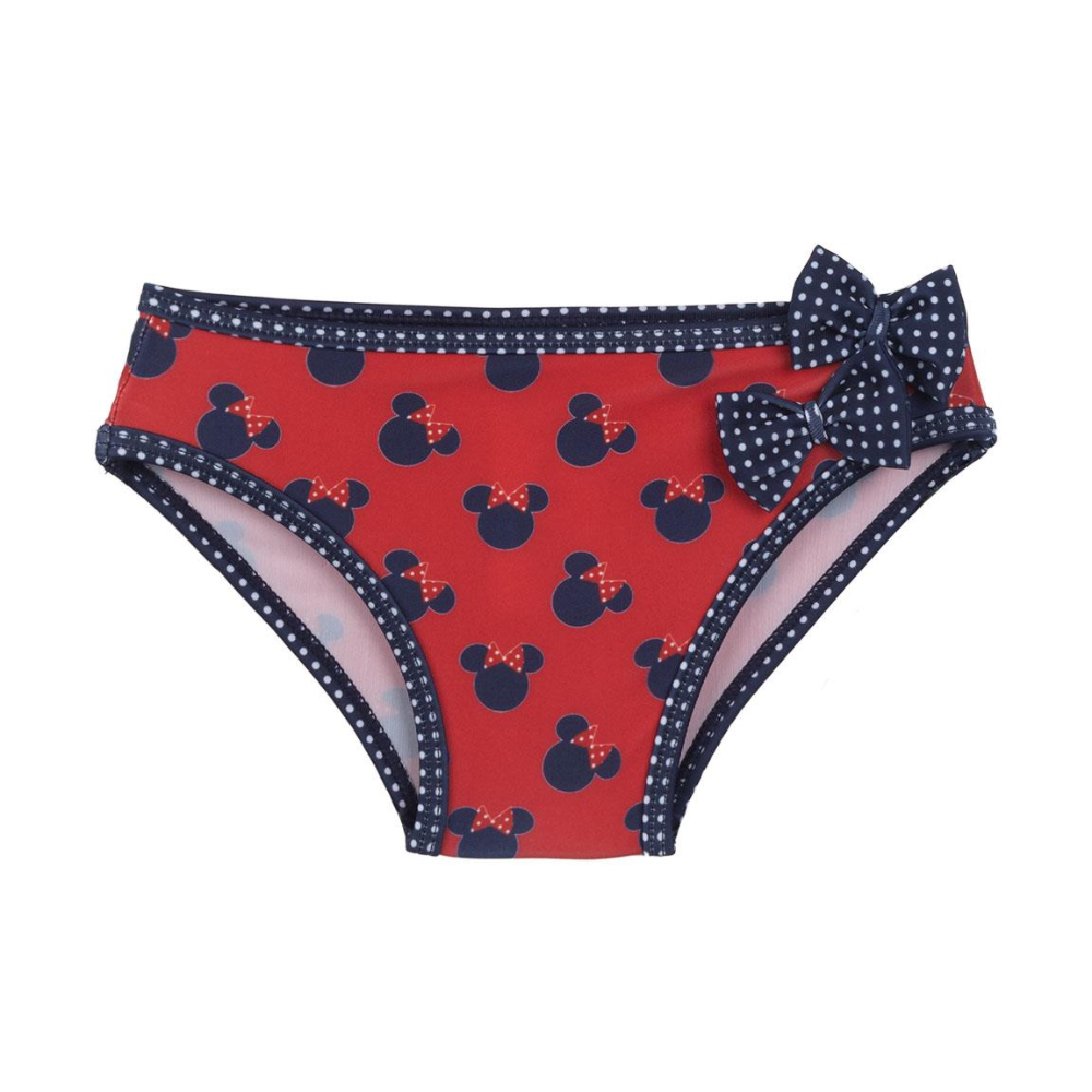 Minnie Mouse Panties for Women