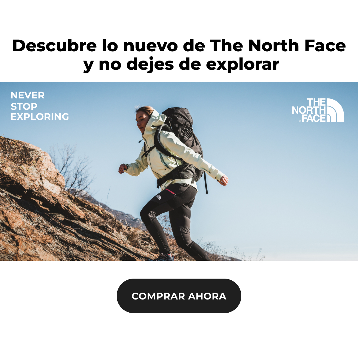 The North Face