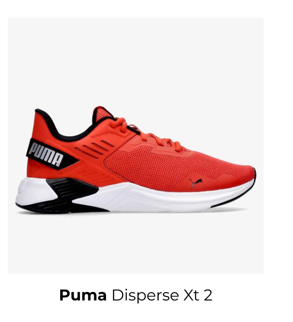 puma disperse