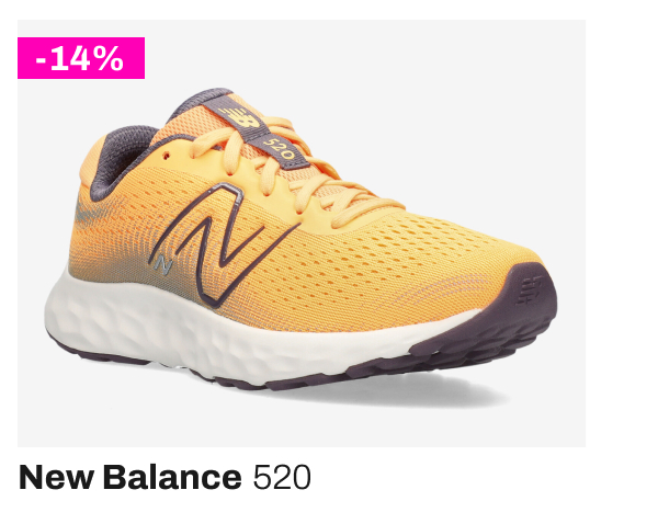 New Balance 520